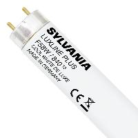 Sylvania T8 Luxline Plus F58W 840 | 150cm - kald hvit