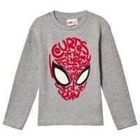 Disney Spiderman T-skjorte Grå 4 år