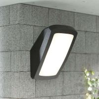 Lyssterk utendørs vegglampe Germana LED 14W, svart