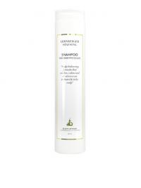 Sjampo - Transparent Lernberger Stafsing Pharmacy Sensitive Scalp Shampoo 250ml