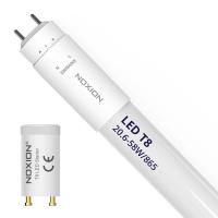 Noxion Avant LED T8 Tube Extreme HO EM 150cm 20.6W 865 | daglys - LED tenner inkl. - erstatter 58W