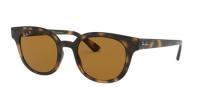 Ray-Ban Solbriller RB4324 Polarized 710/83