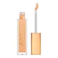 Urban Decay Stay Naked Concealer (Various Shades) - 10CP