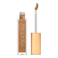 Urban Decay Stay Naked Concealer (Various Shades) - 50CP