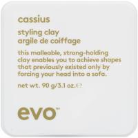 evo Cassius Styling Clay 90g