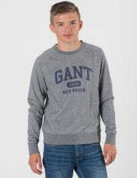 Gant, TB. THE FALL LOGO C-NECK SWEAT, Grå, Gensere/Cardigans för Gutt, 176 cm