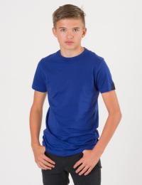 Replay, T-Shirt, Blå, T-shirt/Singlet för Gutt, 14 år