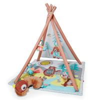 Skip Hop Camping Cubs Babygym One Size