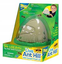 Insect Lore Anthill 3+ years