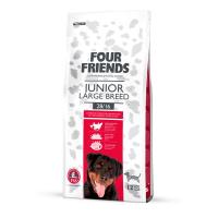 FourFriends Junior Large Breed 12 kg
