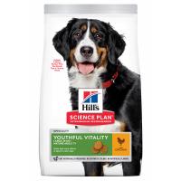 Science Plan Youthful Vitality Canine Adult Large Chicken 10 kg