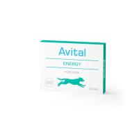 Avital Energy